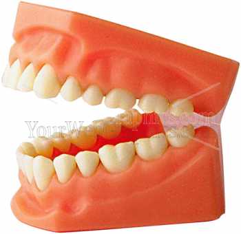 photo - teeth-1-jpg